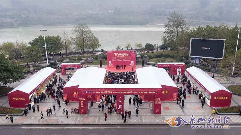 沙湾、金口河特色农产品迎春展销会火热开展，礼品花卉销售成亮点